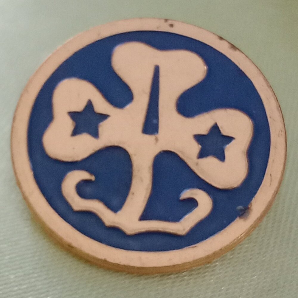 GSWA Clover Pin - Picture 4 of 5